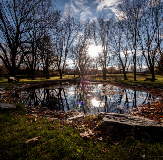 Création sans titre (44)